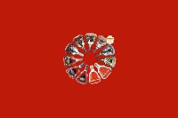 乐陵回收红酒